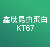 鑫肽昆蟲蛋白KT67