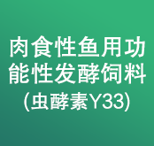 肉食性魚用功能性發酵飼料 (蟲酵素Y33)